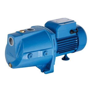 BOMBA MOTORARG BF100M